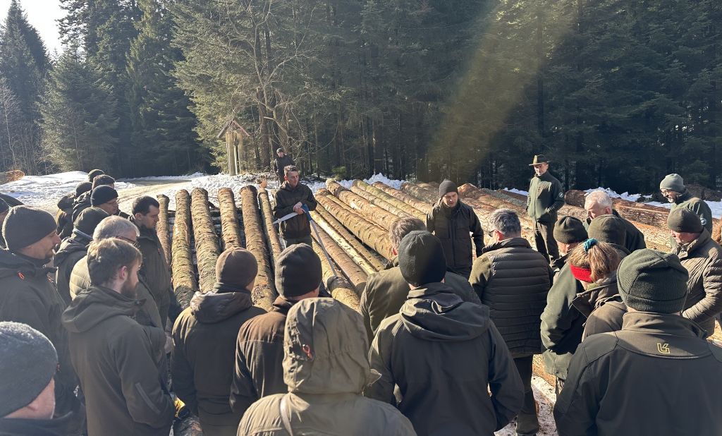 Szacowanie jakości drewna - leśnicy się szkolą
