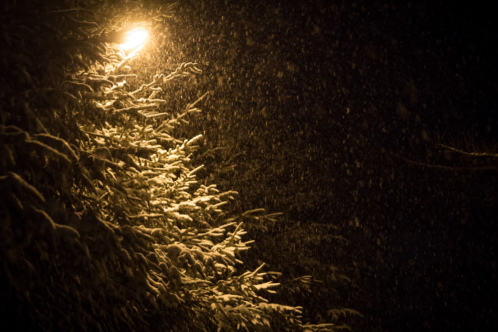 Wraca zima. Niedziela na biało