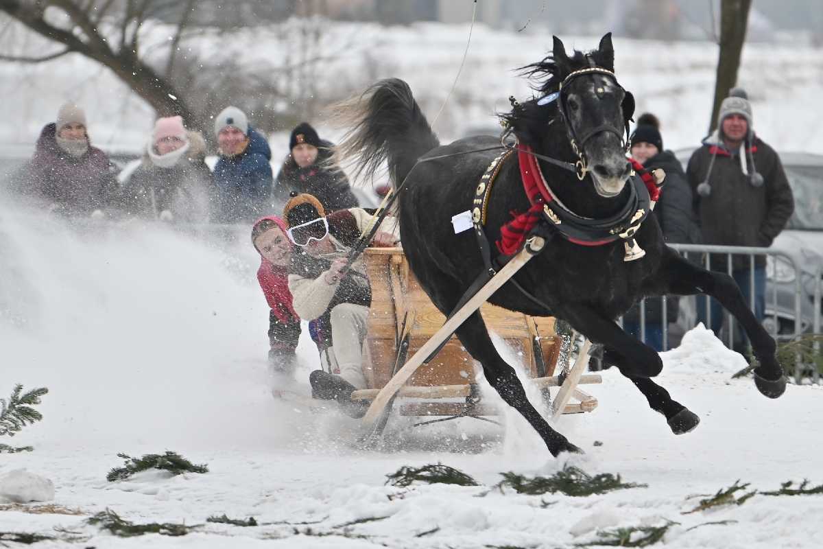 Parada Gazdowska i góralskie wyścigi w Ludźmierzu - podajemy wyniki (podwójna galeria)