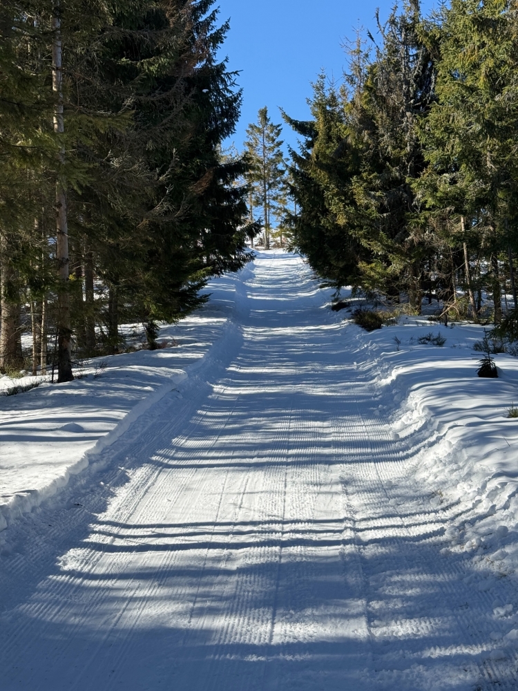 Burza na szlaku - narciarze domagają się wyciągnięcia konsekwencji, GOPR-owcy odpowiadają: może się to nie spodobać